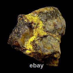 Australian Gold Ore Covered in Thick Natural Gold 208 GRAM / 7.36oz VERY RARE