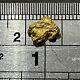Australian Natural Gold Nuggets 1.46 Gram #3