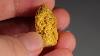 Australian Reef Gold Nugget