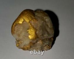 BIG California Natural Gold n Quartz Nugget 49r Placer Gold Miner Direct 24.11