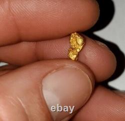 BIG Natural California Gold Nugget Personally Prospected GOLD RUSH Placer Miner