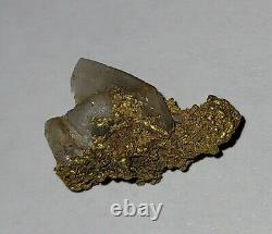 BIG Natural Crystalline California Gold Nugget with Quartz GOLD RUSH Placer Miner