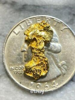 Beautiful Alaskan Natural Placer Gold Nugget 1.318 grams Free Shipping! #A2558