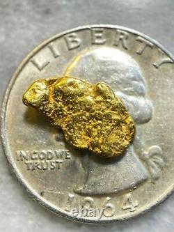 Beautiful Alaskan Natural Placer Gold Nugget 1.383 grams Free Shipping! #A2559