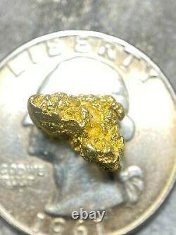 Beautiful Alaskan Natural Placer Gold Nugget 1.963 grams Free Shipping! #A1671