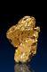 Beautiful Color Natural Gold Nugget From Alta Floresta, Br