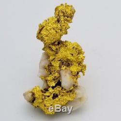 Beautiful Large Natural Gold in Quartz Nugget from the Motherload! 30.4 grams