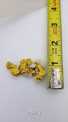 Beautiful Large Natural Gold in Quartz Nugget from the Motherload! 30.4 grams