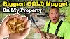 Biggest Gold Nugget Found Metal Detecting In Creek Record Breaking