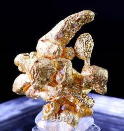 Brazilian Crystalline Natural Gold Nugget 7.98 Grams