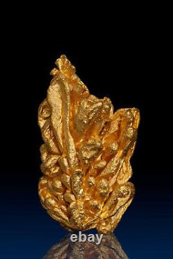 Brilliant and Intricate Natural Gold Nugget Crystal from Brazil