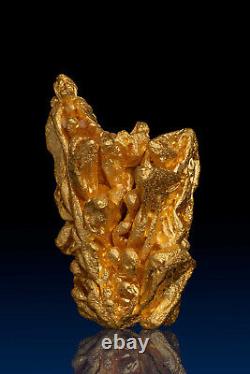Brilliant and Intricate Natural Gold Nugget Crystal from Brazil