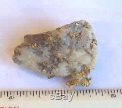 California Gold Bearing Quartz Specimen Natural Gold Nuggets Gold