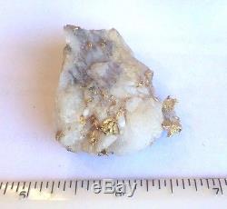 California Gold Bearing Quartz Specimen Natural Gold Nuggets Gold