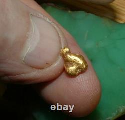 California Gold Nugget 1.41 Gram Natural Gold