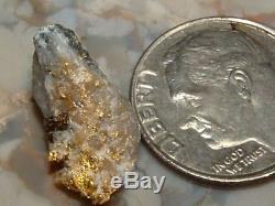 California Gold Quartz Specimen Natural Gold Nugget 1.3 Gram Gold In Quartz