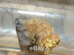 California Gold Quartz Specimen Natural Gold Nugget 1.3 Gram Gold In Quartz