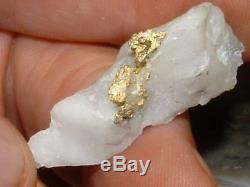 California Gold Quartz Specimen Natural Gold Nugget 10.2 Gram Gold In Quartz