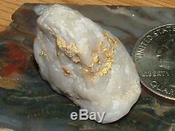 California Gold Quartz Specimen Natural Gold Nugget 10.7 Gram Gold In Quartz