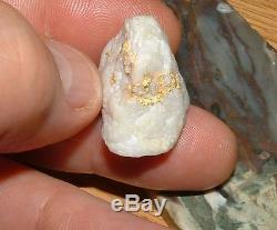 California Gold Quartz Specimen Natural Gold Nugget 10.7 Gram Gold In Quartz
