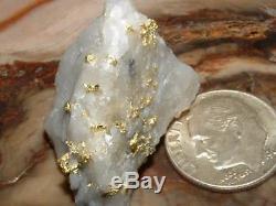 California Gold Quartz Specimen Natural Gold Nugget 13.9 Gram Gold In Quartz