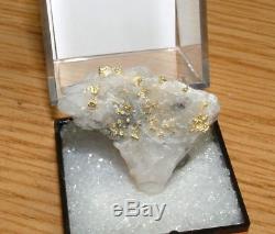 California Gold Quartz Specimen Natural Gold Nugget 13.9 Gram Gold In Quartz