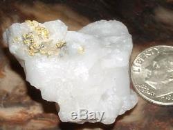 California Gold Quartz Specimen Natural Gold Nugget 14.4 Gram Gold In Quartz