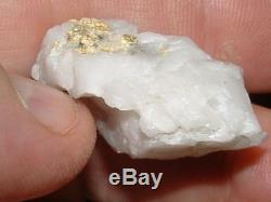 California Gold Quartz Specimen Natural Gold Nugget 14.4 Gram Gold In Quartz