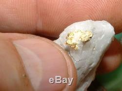 California Gold Quartz Specimen Natural Gold Nugget 14.9 Gram Gold In Quartz