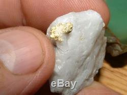 California Gold Quartz Specimen Natural Gold Nugget 14.9 Gram Gold In Quartz