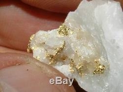 California Gold Quartz Specimen Natural Gold Nugget 16.7 Gram Gold In Quartz