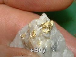 California Gold Quartz Specimen Natural Gold Nugget 16.7 Gram Gold In Quartz