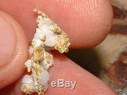 California Gold Quartz Specimen Natural Gold Nugget 2.33 Gram Gold In Quartz