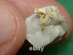 California Gold Quartz Specimen Natural Gold Nugget 2.6 Grams Gold In Quartz