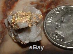California Gold Quartz Specimen Natural Gold Nugget 2.7 Grams Gold In Quartz