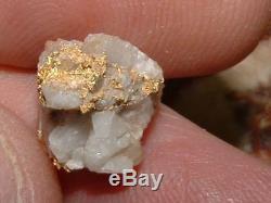 California Gold Quartz Specimen Natural Gold Nugget 2.7 Grams Gold In Quartz