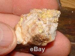 California Gold Quartz Specimen Natural Gold Nugget 21.2 Gram Gold In Quartz