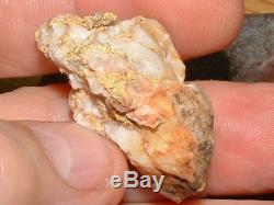 California Gold Quartz Specimen Natural Gold Nugget 21.2 Gram Gold In Quartz