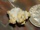 California Gold Quartz Specimen Natural Gold Nugget 3.3 Grams Gold In Quartz