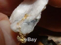 California Gold Quartz Specimen Natural Gold Nugget 3.8 Gram Gold In Quartz