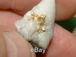 California Gold Quartz Specimen Natural Gold Nugget 5.6 Gram Gold In Quartz