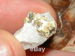 California Gold Quartz Specimen Natural Gold Nugget 5.8 Gram Gold In Quartz