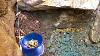 Crevicing For Gold Nuggets In Bedrock Cracks With Blue Clay