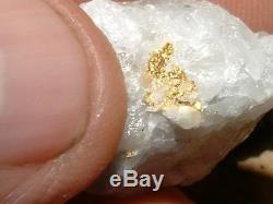 Crystalline Gold Quartz Specimen Natural Gold Nugget 12.4 Gram Gold In Quartz