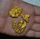 Gold Nugget Crystals Natural 163.65 Grams Palmer River Goldfields Qld Australia