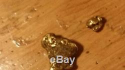 GOLD NUGGET HUGE! Natural Alaska Placer 18.55 GRAMS