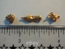 GOLD NUGGETS 1.4 GRAMS Natural California Placer Gold Mined in Placerville, Ca