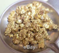 GOLD NUGGETS 10+ GRAMS Placer Alaska Natural #8 Screen Fortymile SPECIAL