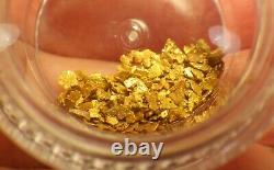 GOLD NUGGETS 2+ GRAMS Alaska Natural Placer #16-18 Mesh In Display Jar FREE SHIP