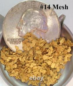 GOLD NUGGETS 3+ GRAMS Alaska Natural Placer #14 Mesh Jewelers Grade Hi Purity